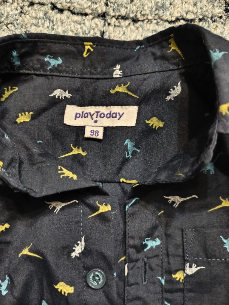 🐦🦕 Рубашка для мальчика с динозаврами